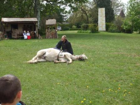 cheval mort